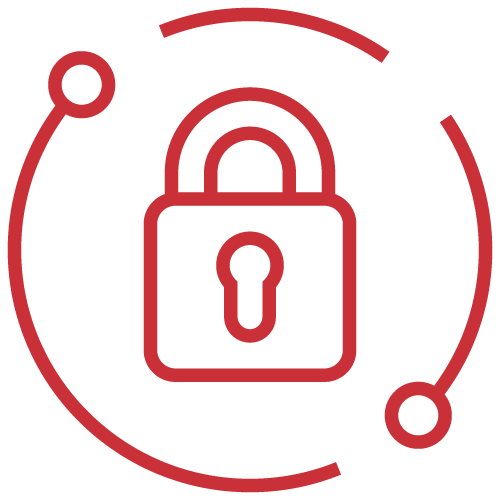 Security and Risk-aware Execution